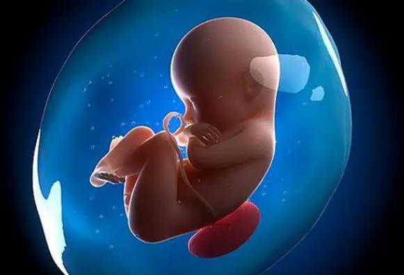 2023在北京农村怀三胎可以享受国家免费孕前检查吗？