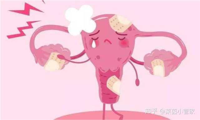 北京助孕的水果有哪些品种,北京协和医院?,北京宝岛妇产医院介绍