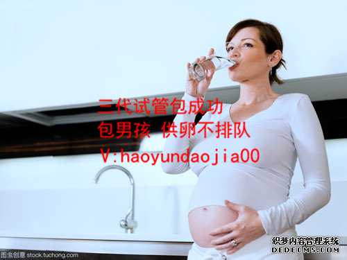 国内哪家医院可以供卵_北京供卵移植成功率_代孕哪里最专业_正规的代孕
