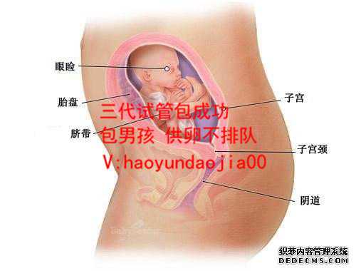 北京三代试管婴儿供卵_北京哪里可以做供卵试管_输卵管妊娠是怎么引起的-有喜