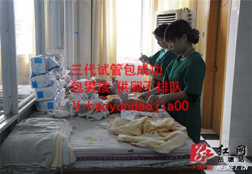 北京有医院可以供卵吗_北京供卵试管价格_代孕包成功生双胞胎多少钱_找代孕有