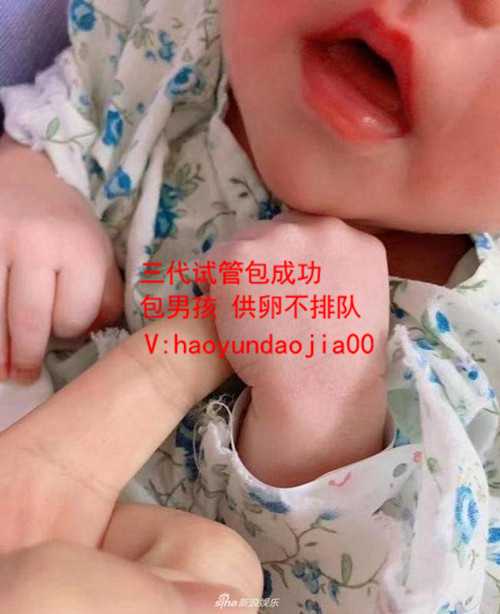 供卵试管是啥意思_北京能供卵的医院有哪些_怎么试管婴儿