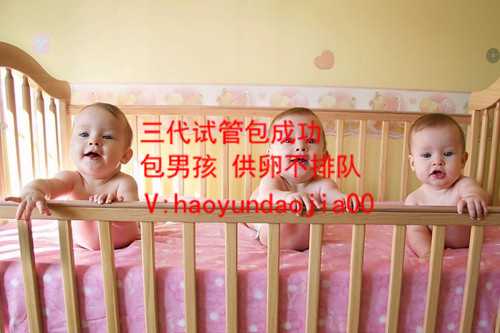北京集爱供卵试管_供卵试管移植前注意事项_[怀孕]怀孕初期怎么知道怀的是龙
