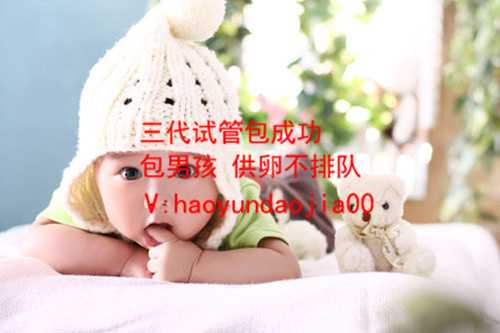 北京对供卵生的孩子的情感_唐都医院有没有供卵_除了捐卵还能干嘛根据性激素