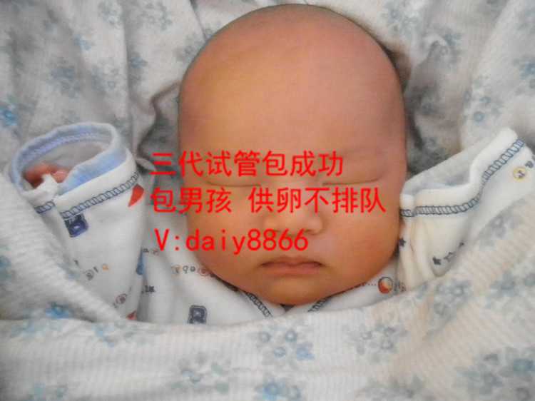 沈阳供卵费用_上海国妇婴第三代试管婴儿胚胎筛查多少钱
