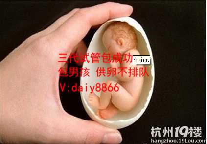 贵州供卵生儿子_做试管婴儿的常规检查有哪些呢