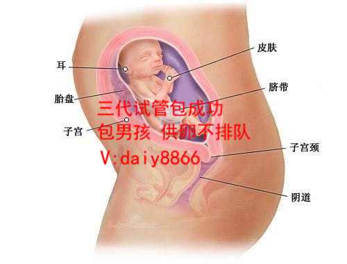 惠州借卵包男孩_试管婴儿怀孕和自然怀孕谁的流产率高