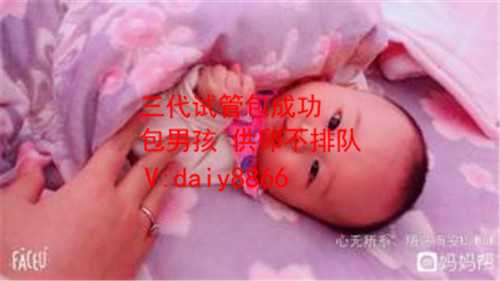 代母收费标准_北京市试管妊娠率有多少？