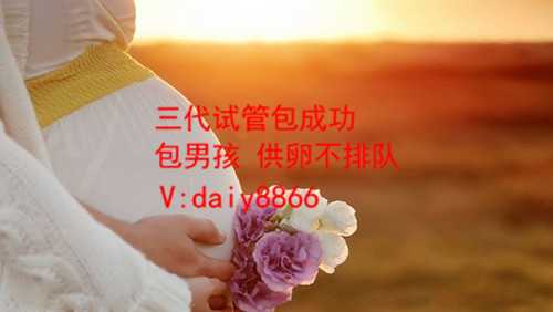 上海哪里要代生_已有两个女儿，希望通过试管婴儿生儿子实现愿望