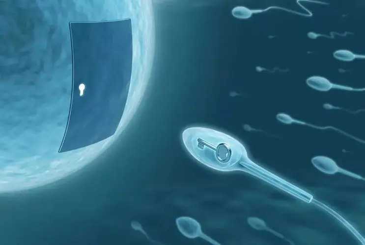 专业代怀保密咨询_求子代怀网_胚胎不着床的原因有哪些？