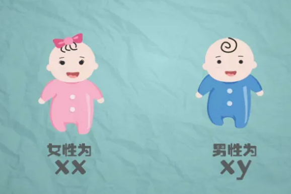 北京借腹生子联系电话 2022年北京第三代试管婴儿费用明细 ‘6周男宝b超图片’