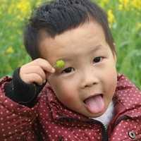 想求北京供卵生孩子 北京做试管最好的医院是哪家? ‘用双顶径怎么算男孩女孩