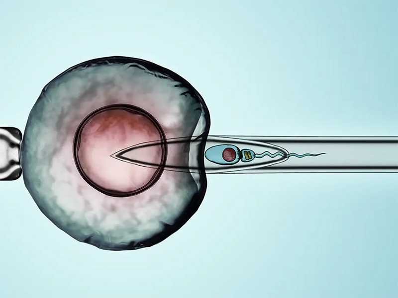 北京私立供卵试管机构 在北京大学第三医院做供精试管婴儿需要等多久？ ‘胎