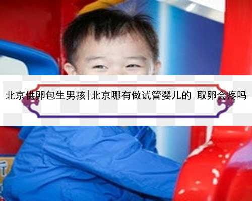 北京供卵包生男孩|北京哪有做试管婴儿的 取卵会疼吗