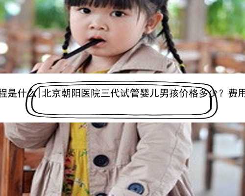 北京代生流程是什么|北京朝阳医院三代试管婴儿男孩价格多少？费用十万够吗