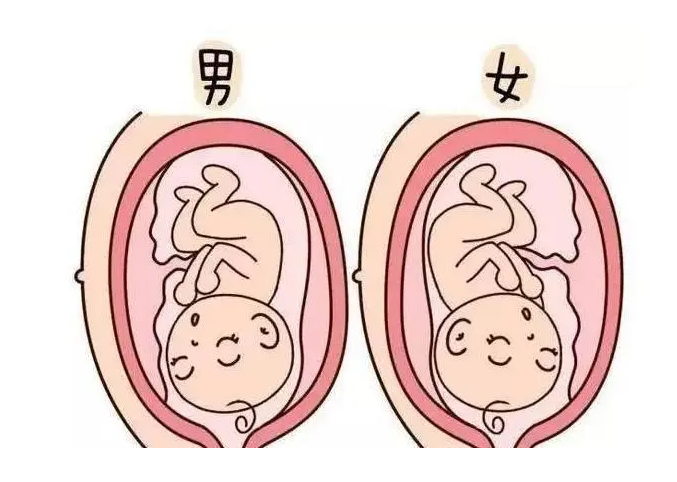 代怀孕孩子是谁的_代怀产子_【上海正规供卵公司供卵试管有保障吗】孕期必备