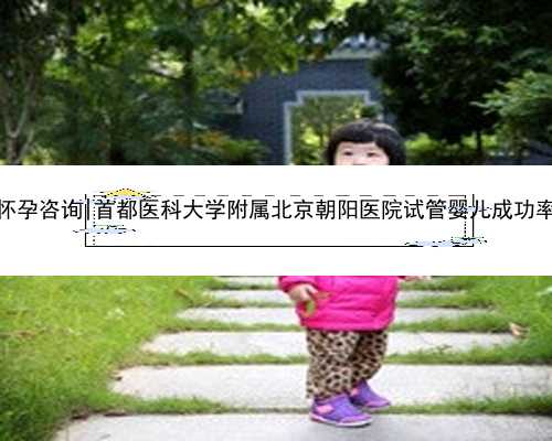 北京代怀孕咨询|首都医科大学附属北京朝阳医院试管婴儿成功率高吗？