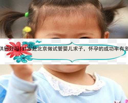 北京供卵好吗|31岁赴北京做试管婴儿求子，怀孕的成功率有多高？