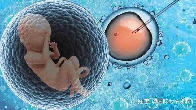 北京试管婴儿报销政策概述?,2022最新版北京第三代试管婴儿医院排名