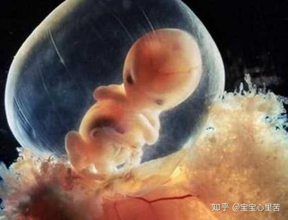 北京家园医院试管婴儿可以筛选性别吗？,北京离婚律师:丈夫不愿做试管婴儿是